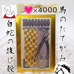 お気に入り4100件突破‼︎ 白蛇の抜け殻＆馬のたてがみ お守り【台紙ありタイプ】 1枚目の画像