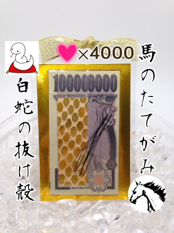 お気に入り4100件突破‼︎ 白蛇の抜け殻＆馬のたてがみ お守り【台紙ありタイプ】 1枚目の画像