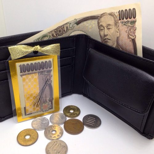 お気に入り4100件突破‼︎ 白蛇の抜け殻＆馬のたてがみ お守り