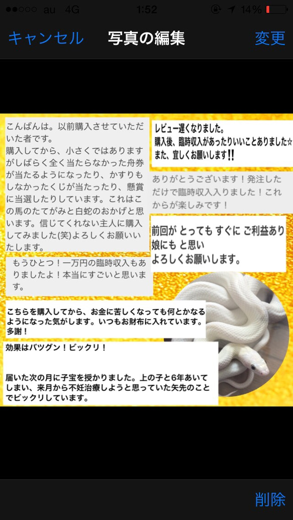 お気に入り4100件突破‼︎ 白蛇の抜け殻＆馬のたてがみ お守り【台紙ありタイプ】 6枚目の画像