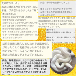 お気に入り4100件突破‼︎ 白蛇の抜け殻＆馬のたてがみ お守り【台紙ありタイプ】 7枚目の画像
