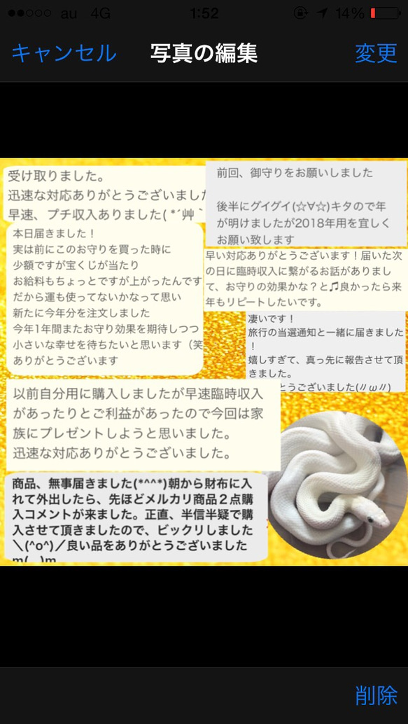 お気に入り4100件突破‼︎ 白蛇の抜け殻＆馬のたてがみ お守り【台紙ありタイプ】 7枚目の画像