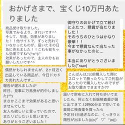 ご利益あり！白蛇の抜け殻 開運お守り【ミニサイズ】 3枚目の画像