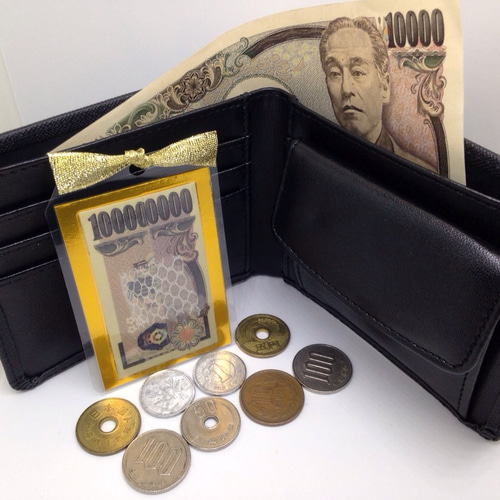 ご利益あり！白蛇の抜け殻 お守り【台紙ありタイプ】 二つ折り