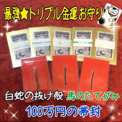 お気に入り4100件突破‼︎ 白蛇の抜け殻＆馬のたてがみ お守り