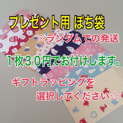 蛇の一本脱ぎ&馬のたてがみ&帯封 お守り 4枚目の画像