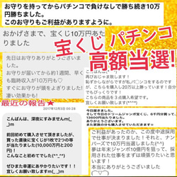 白蛇の頭抜け殻＆馬のたてがみ＆帯封 お守り 4枚目の画像