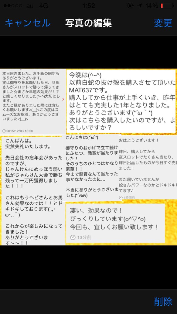 白蛇の尻尾抜け殻＆馬のたてがみ＆帯封 お守り 4枚目の画像