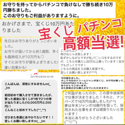 白蛇の一本脱ぎ＆馬のたてがみ＆帯封 お守り 5枚目の画像