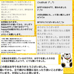 蛇の尻尾抜け殻＆馬のたてがみ＆帯封 お守り② 4枚目の画像