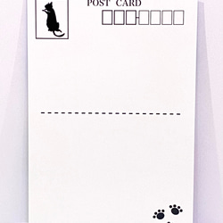 猫ちゃんポストカード4枚2セット 4枚目の画像