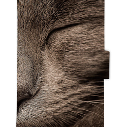 送料無料♪ 猫 CAT ニャンコ 黒猫 唇 スマホケース 手帳型 手帳ケース ブックタイプ iphoneのみ対応 1枚目の画像