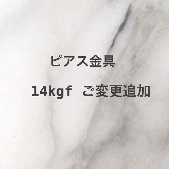 14kgf ピアス金具ご変更用 1枚目の画像