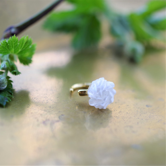 white rose [ ear cuff ] 第1張的照片