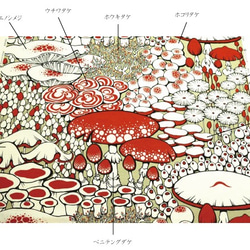 【再販】生地　「きのこ」テキスタイル 5枚目の画像