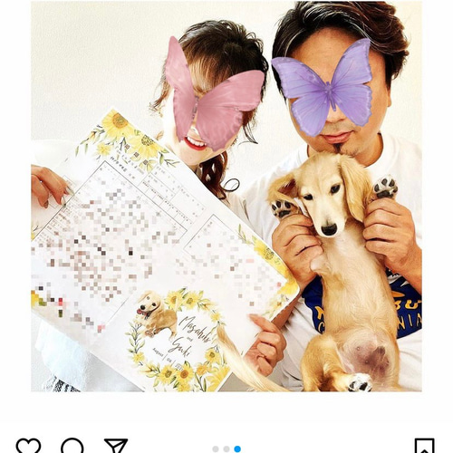夏のひまわり婚姻届 向日葵 ペット 写真入り 完全オーダーメイド
