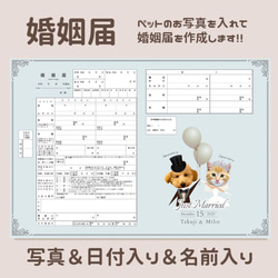 婚姻届 ペット 写真入り 完全オーダーメイド 愛犬 わんこ ねこ 愛猫