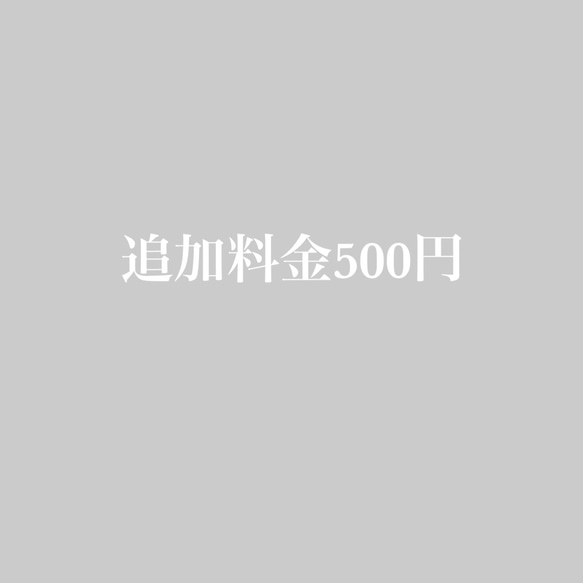 追加料金500円 1枚目の画像