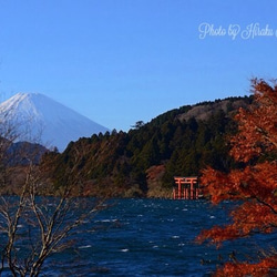 箱根にて・・・ 1枚目の画像