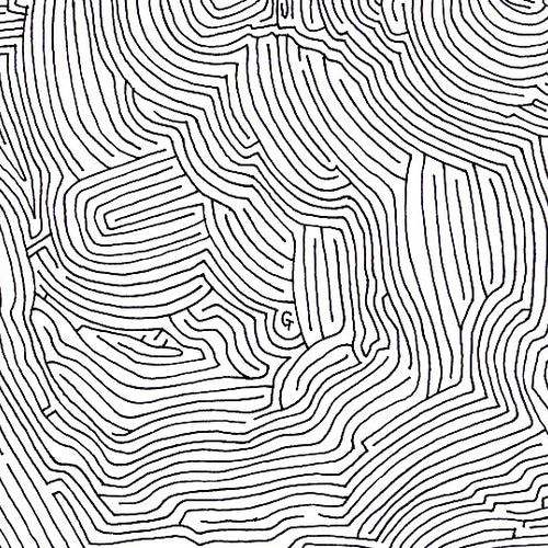 抽象版画 モノクロ 自然の形状 抽象版画 モノクロ 自然の形状