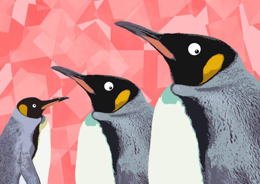 Penguin ペンギン絵本　14冊セット