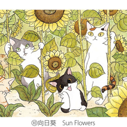 5 Postcards Set for Summer　夏季5張明信片一套 第4張的照片