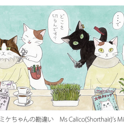4 Postcards Set of Cats' Shops   一套4張用於貓店的明信片 第3張的照片