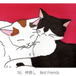 4 Postcards Set of Sleeping Cats 4張閃亮的貓明信片一套 第3張的照片