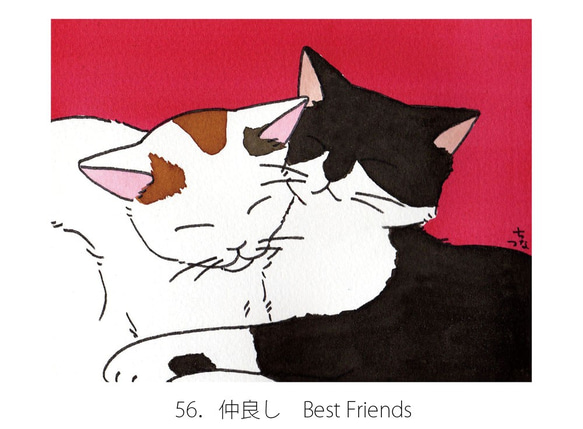 4 Postcards Set of Sleeping Cats 4張閃亮的貓明信片一套 第3張的照片