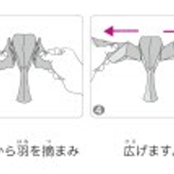 ユウタロウの福良雀紙風船 6枚目の画像