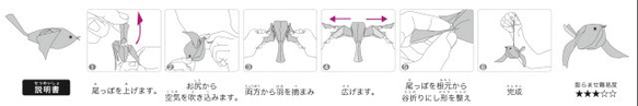  第6張的照片