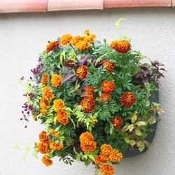 0_dad5af3811c0277fa0609c0d16b2