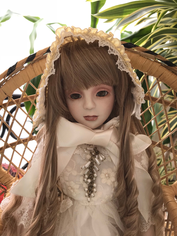 レース衣装の美しいドール 茶色の髪