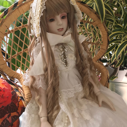 レース衣装の美しいドール 茶色の髪