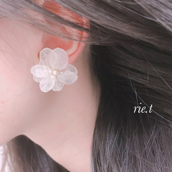 再販50【rie.t】本物のあじさい♡ピアスorイヤリング 2枚目の画像