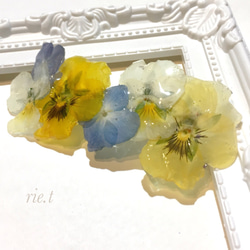 【rie.t】本物のビオラ♡バレッタ 押し花 2枚目の画像