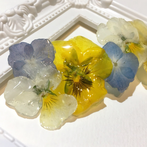 【rie.t】本物のビオラ♡バレッタ 押し花 3枚目の画像