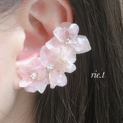 【rie.t】桜のイヤーカフ 1枚目の画像
