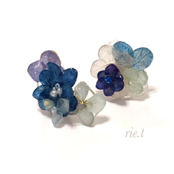 再販2【rie.t】紫陽花イヤーカフセット 1枚目の画像