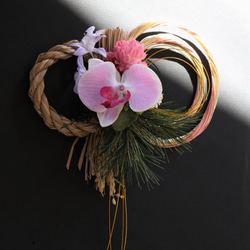 快點裝運豪華藝術花卉新年裝飾Nerine“Creema Limited” 第3張的照片