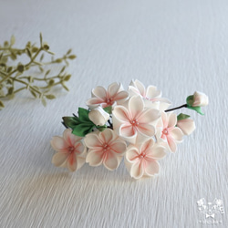 姫桜の舞✿コーム　«愛桜»　つまみ細工　髪飾り　お花見・卒業式・お呼ばれ・着物 1枚目の画像