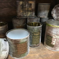 ナイショのリメイク缶お楽しみお得セット】多肉植物・観葉植物