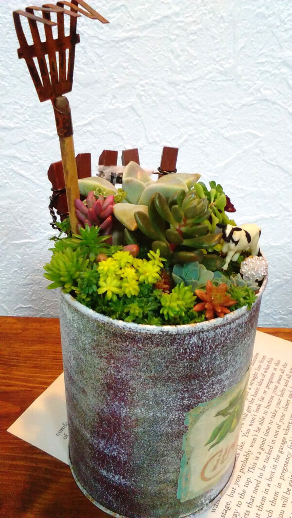 リメイク缶375☆多肉植物☆寄せ植え☆インテリア 送料無料】再販♡可愛い アンティーク調 リメイク缶 多肉植物