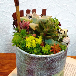 リメイク缶361☆多肉植物☆寄せ植え☆インテリア 牧場の朝* ∮多肉植物の寄せ植え∮リメイク缶・寄せ植え小物