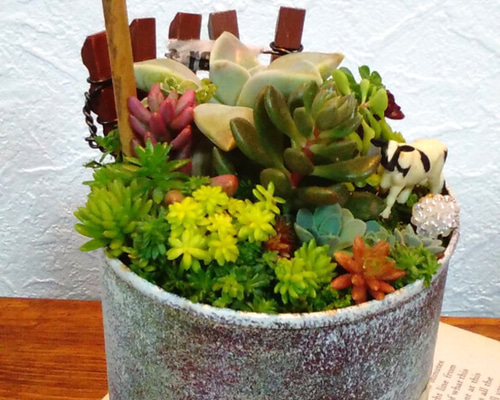 リメイク缶303☆多肉植物☺︎︎寄せ植え☺︎︎インテリア リメイク缶303☆多肉植物☺︎︎寄せ植え☺︎︎インテリア