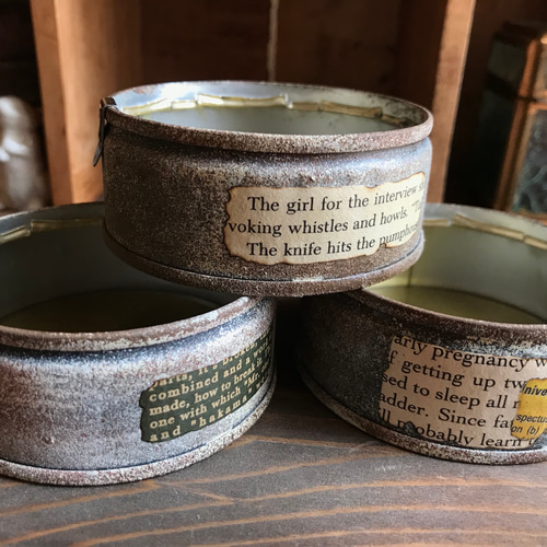 リメ缶クッション Amazon.co.jp: No.206 ステンシルシート多肉植物 リメイク