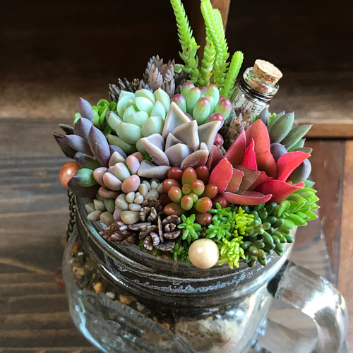 再々々々…販【タイムカプセルシリーズ＊】∮多肉植物の寄せ植え