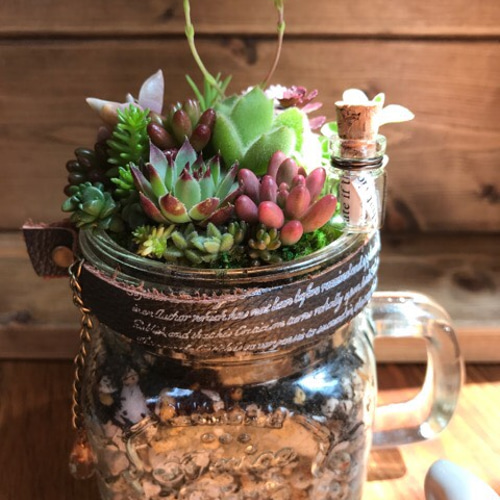 n 77様ご確認用 多肉植物寄せ植え