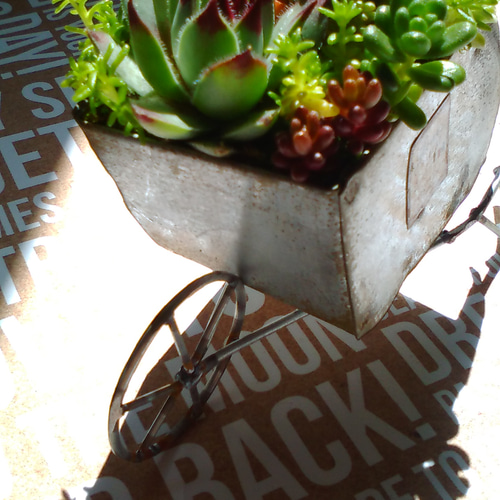 花車シリーズ*No2 ∮多肉植物の寄せ植え∮アンティーク調プランター