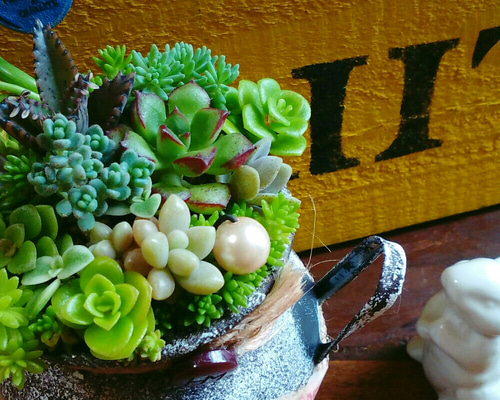 リメイク缶a-22☆多肉植物☺︎︎寄せ植え☺︎︎インテリア 再々々々…販【セダム in ミルク缶＊】∮多肉植物の寄せ植え